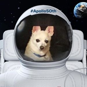 Meet your Posher, Sandy